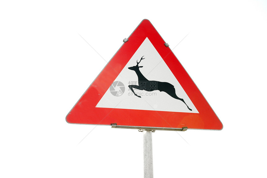 签署签名驼鹿荒野穿越驾驶路标动物跑步交通野生动物环境图片