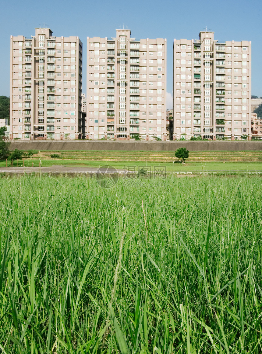 拥有草地公寓的城市景观不动产家庭住宅建筑房子奢华风景晴天财产草地图片