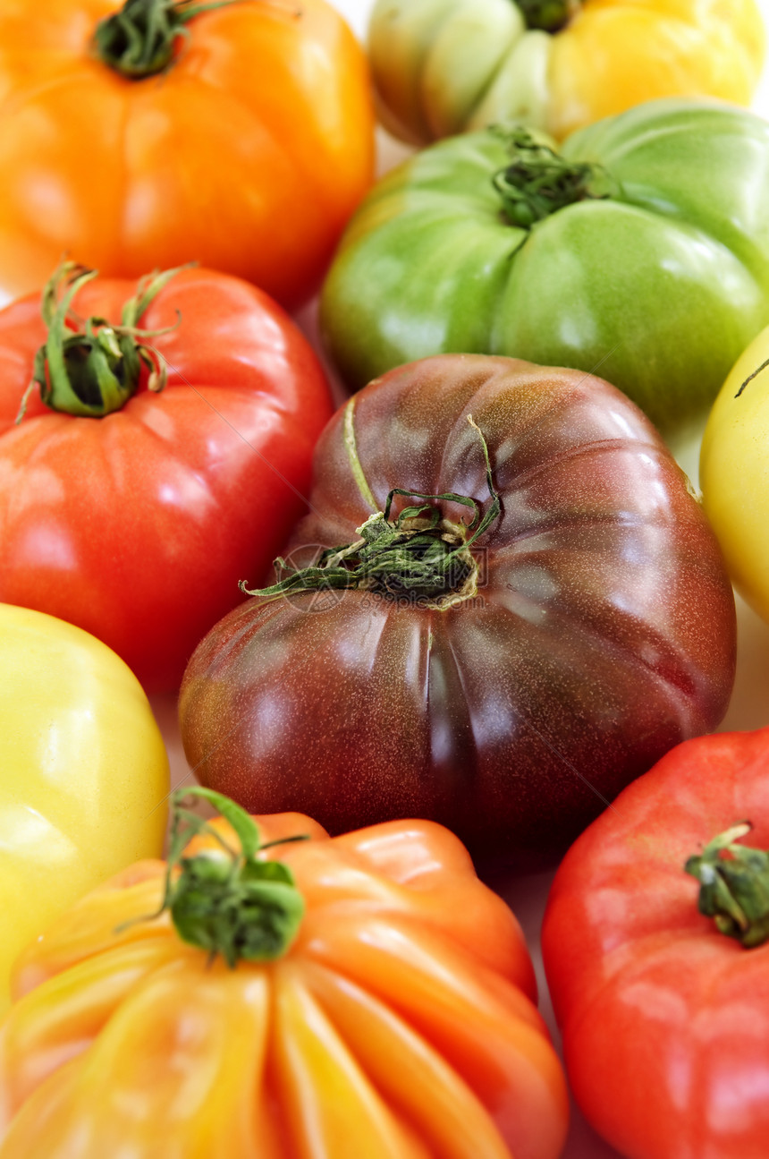 海螺西红茄维生素食物生产水果黄色绿色饮食宏观花园蔬菜图片