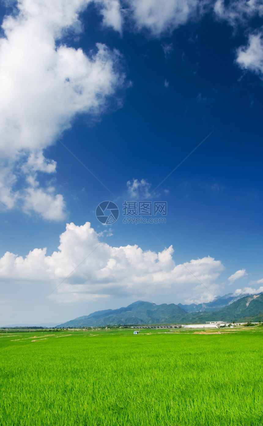 青蓝天空和白云的绿田农田土地粮食农场热带地平线蓝色草原国家环境图片