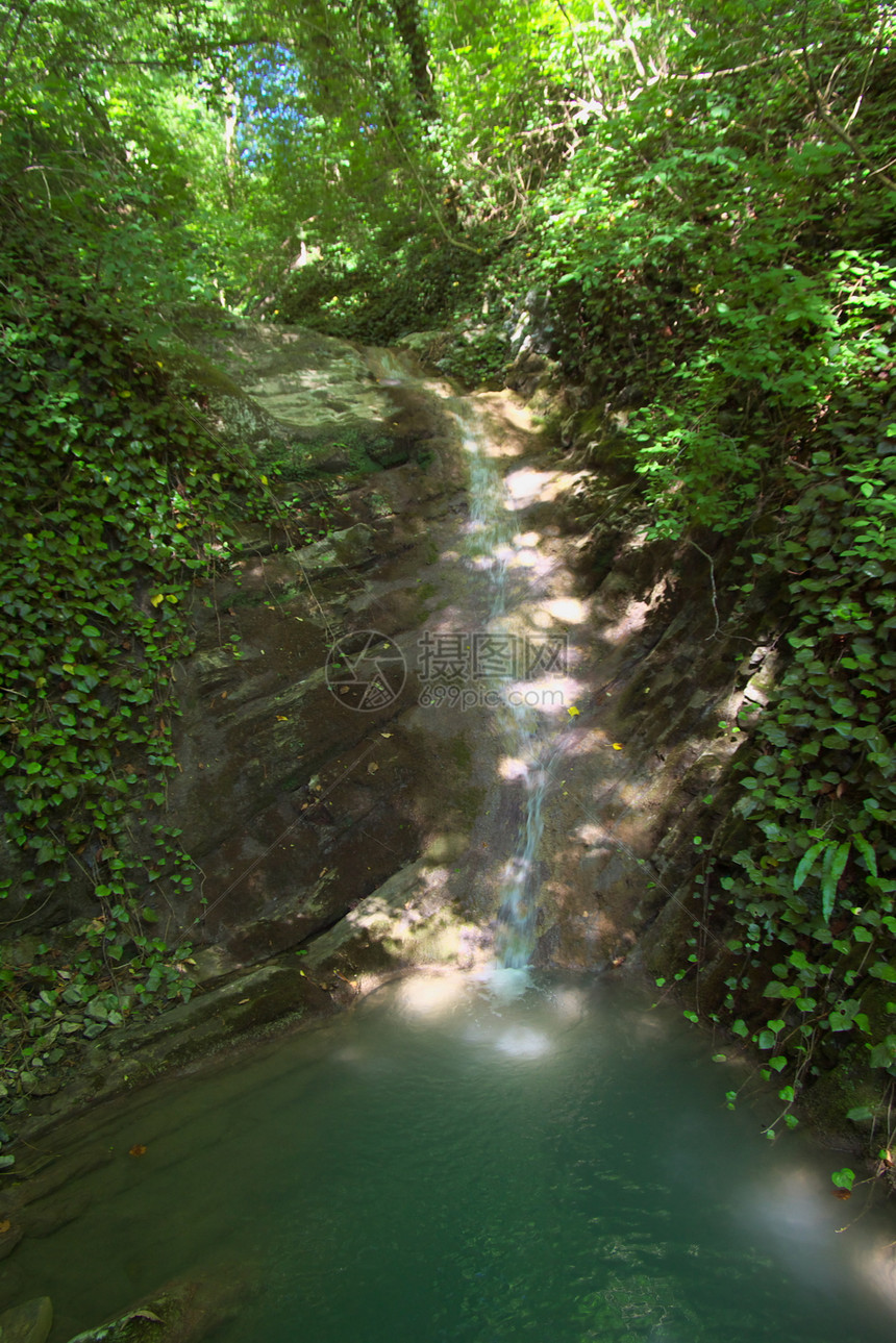 瀑布森林风景禅意苔藓旅行山脉运动树木溪流石头图片