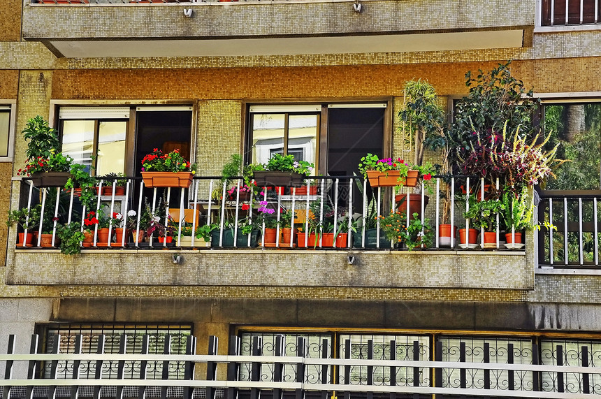 葡萄牙城市石头文化植物灯光建筑阳光住宅建筑学窗户图片