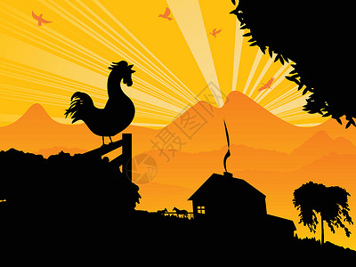 上午公鸡栅栏太阳叶子动物艺术黑色背景图片