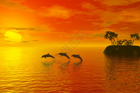 海豚岛海豚的热带景象背景