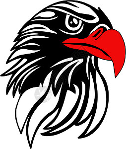 鹰头黑色账单动物插图白色白头背景图片