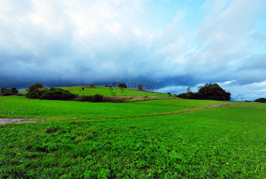 雷暴中的字段农业气象野花闪电风暴场地天气草地生长收成图片
