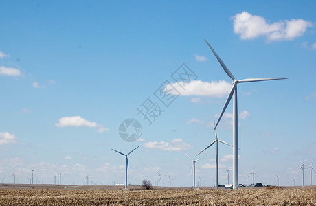 风风涡轮技术科技树木资源绿色场地风车风力涡轮机背景图片