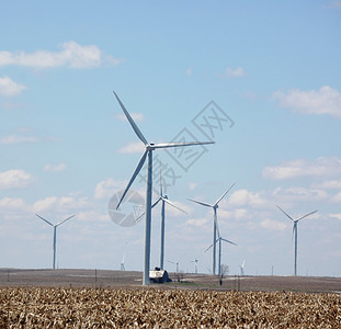 风风涡轮涡轮机风力场地技术绿色风车科技资源树木背景图片