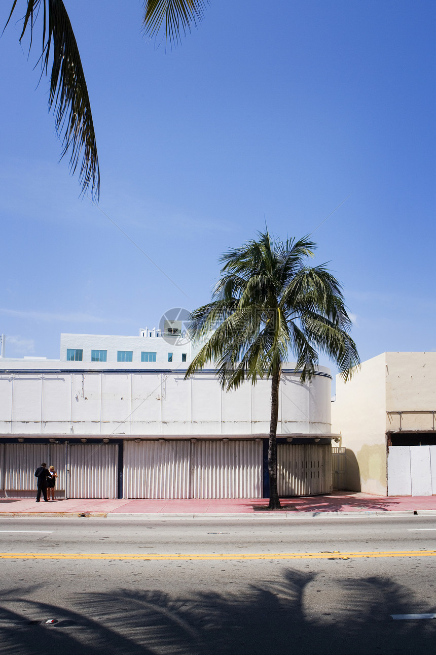迈阿密街棕榈街道邻里场景热带建筑艺术建筑学城市地标商业图片