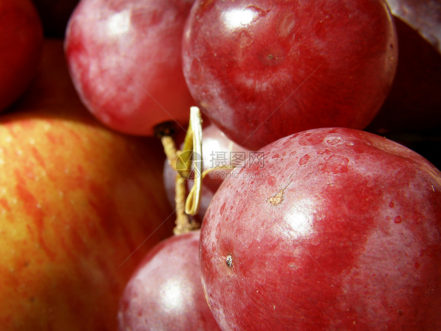 苹果和葡萄水果植物红色农场季节黄色浆果果园花园饮食图片