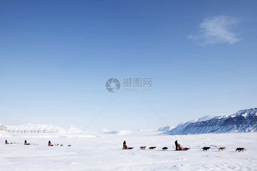 狗雪车竞赛旅游蓝色冒险生态旅游荒野运动男人山脉全景图片