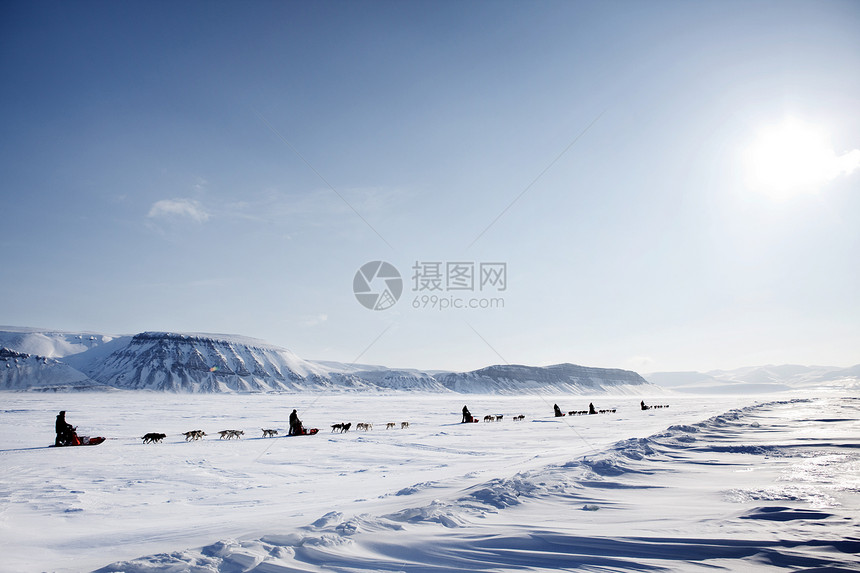 狗悬雪远征队运动蓝色山脉旅游旅行游客团队男人全景荒野图片