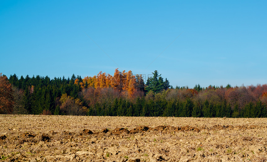 秋光彩色树和草地农村蓝色环境场地地平线风景牧场爬坡天空植物图片