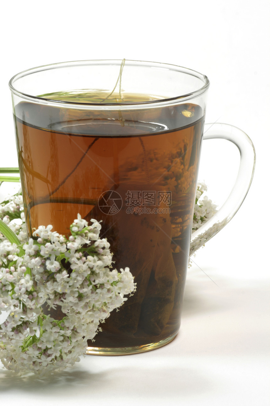 谷地茶药物疗法草本失眠草本植物自然睡眠医疗草药茶杯图片
