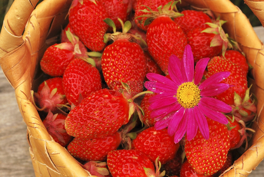 草莓篮子中的草莓食物皮层盘子浆果红色收成圆形季节制品烹饪图片