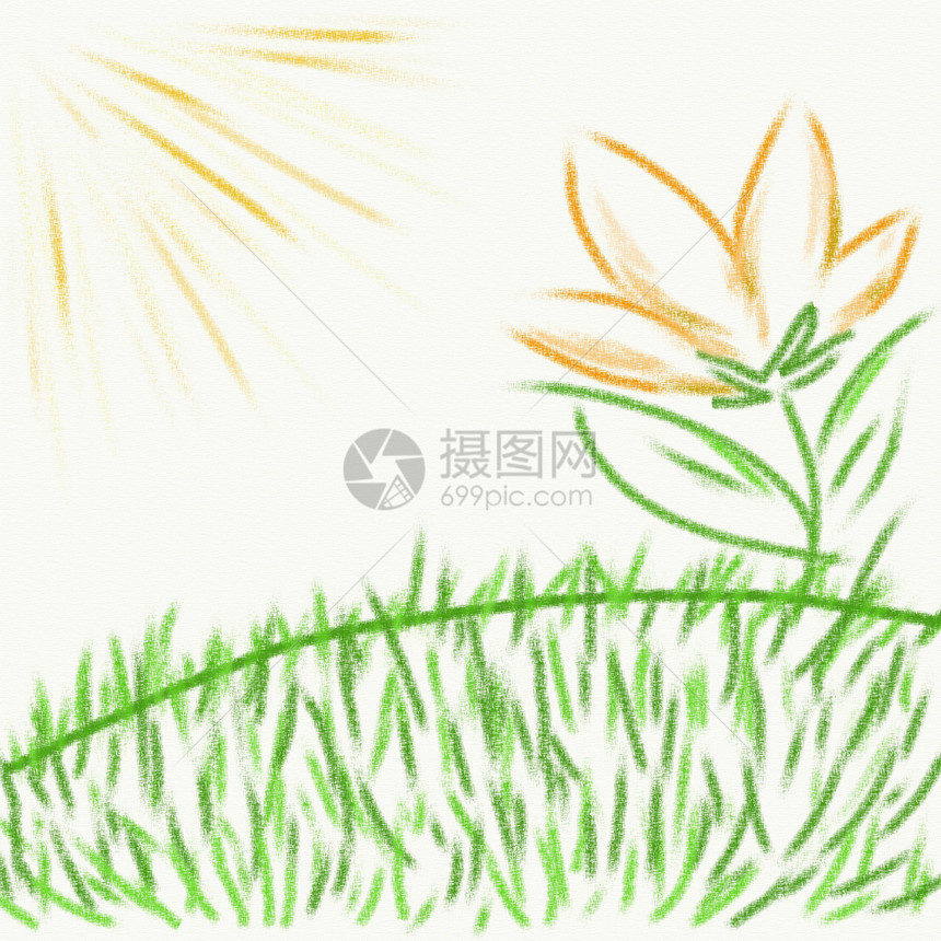 绘画手绘花园季节性叶子插图植物群爬坡植物太阳季节图片