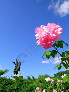 和鲜花绿色蓝色天空玫瑰雕像背景图片