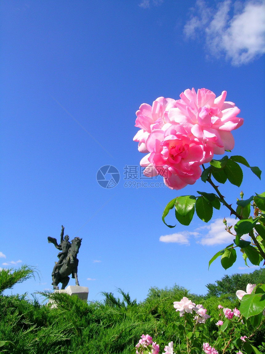 和鲜花玫瑰蓝色天空绿色雕像图片