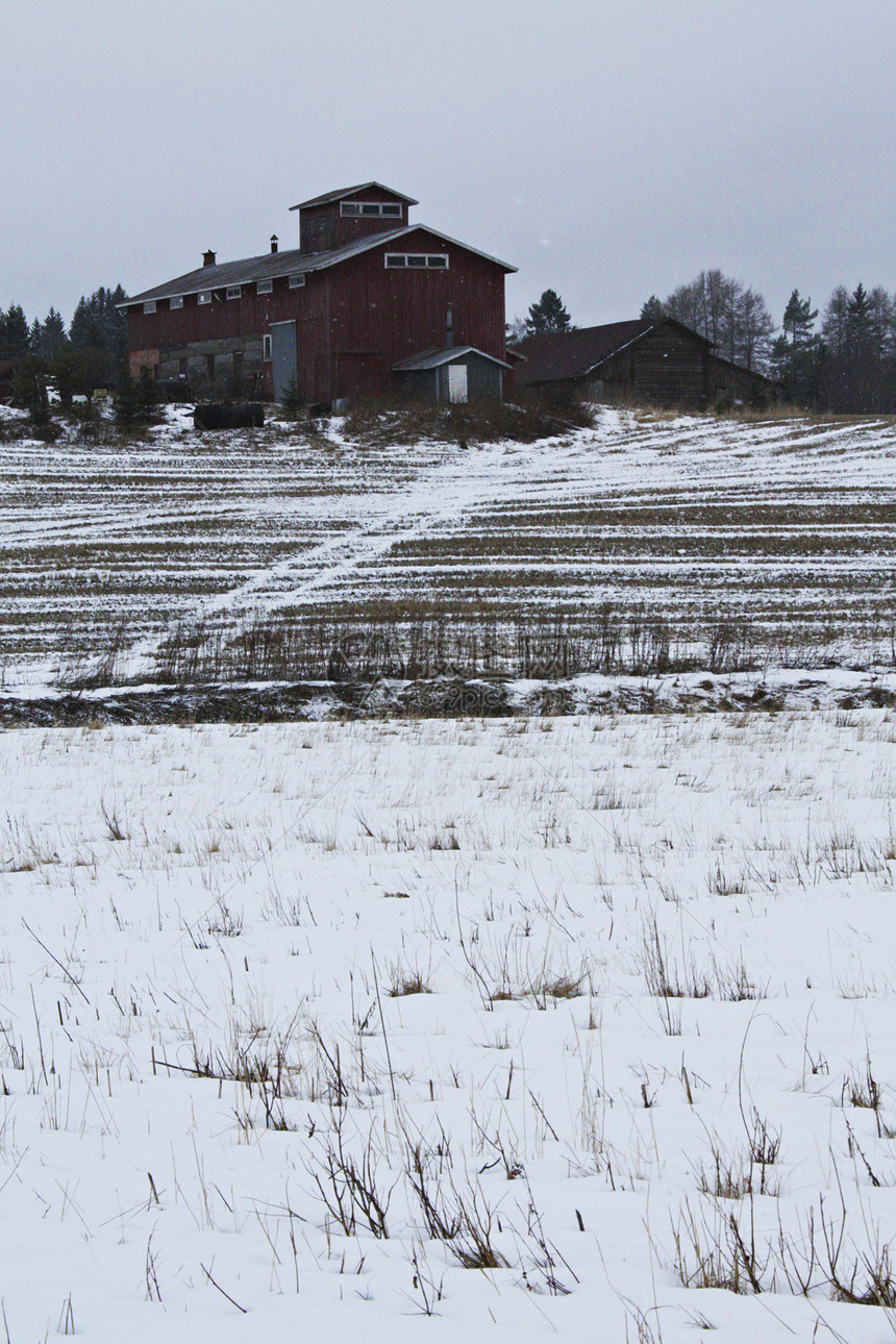 芬兰的春天场地建筑多云农场灰色灌木丛天空农业干草图片