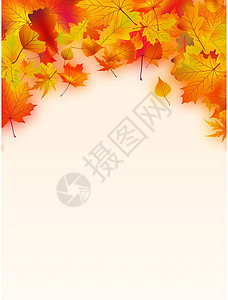 克伦滕博尔文字的秋天叶边框充满活力插画