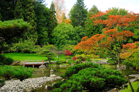 日本花园各种颜色的混合颜色高清图片