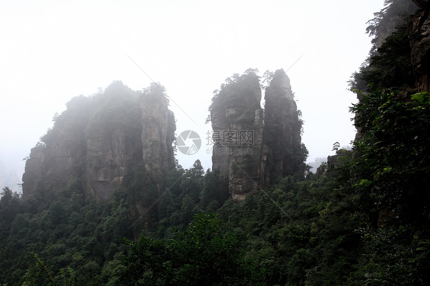 中国国家森林公园     张贾吉树木悬崖风景森林公吨世界岩石公园遗产柱子图片