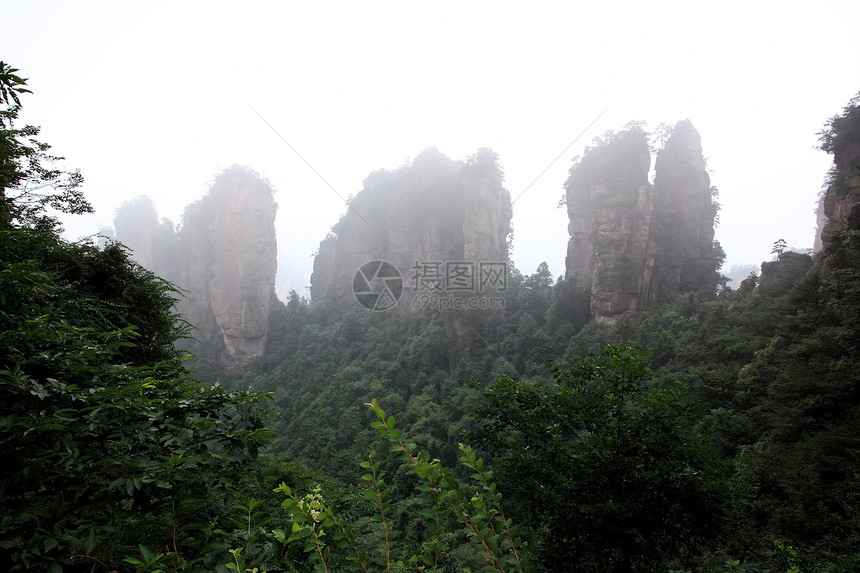 中国国家森林公园     张贾吉遗产柱子树木风景国家世界多云城市岩石公园图片