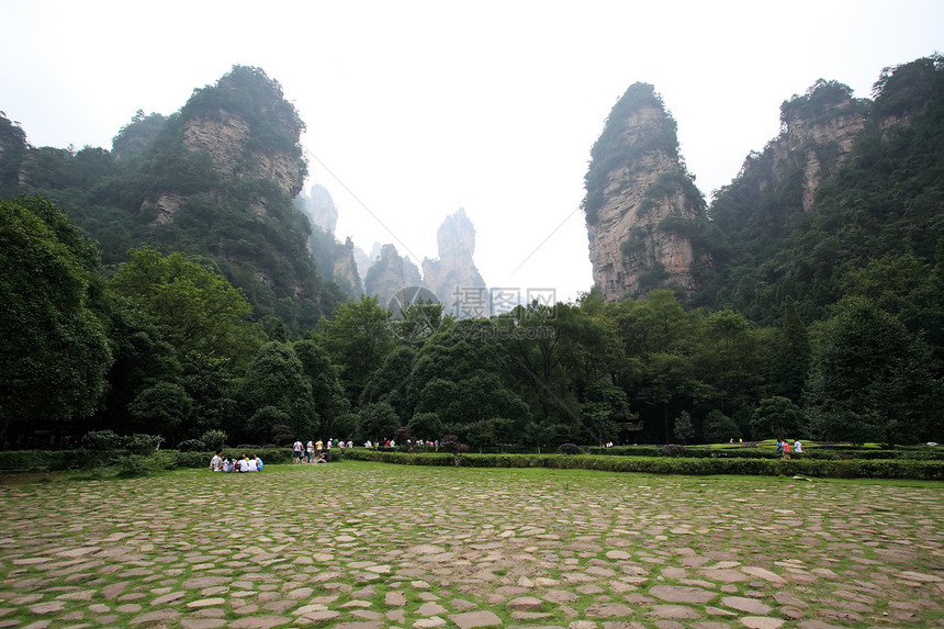 中国国家森林公园     张贾吉多云风景国家公吨树木城市遗产世界公园悬崖图片