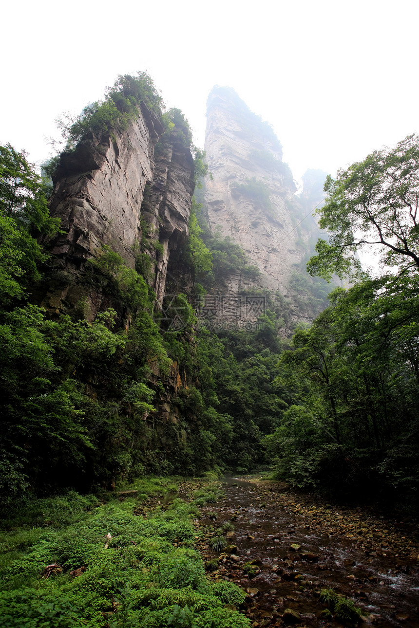 中国国家森林公园     张贾吉森林国家公园悬崖世界城市柱子多云公吨岩石图片