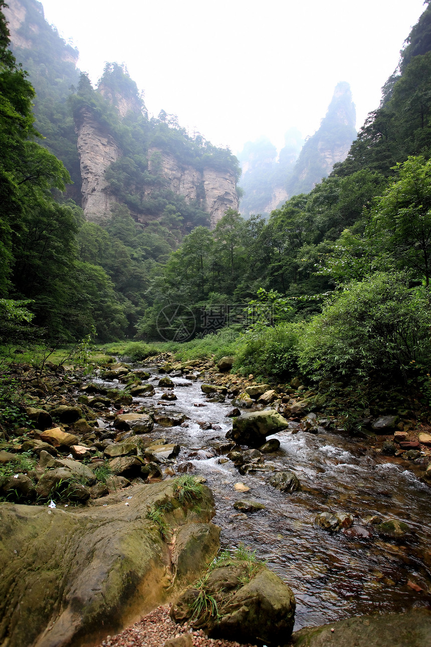 中国国家森林公园     张贾吉国家遗产风景岩石城市树木世界多云柱子悬崖图片