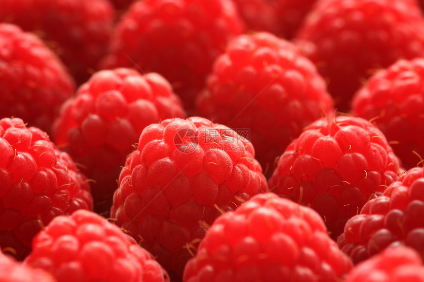 草莓特写红色食物饮食生活方式水果宏观浆果健康饮食图片