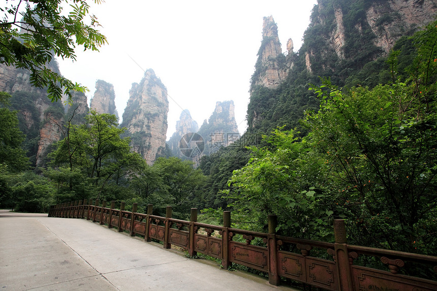 中国国家森林公园     张贾吉城市公吨柱子树木风景国家悬崖多云森林溪流图片