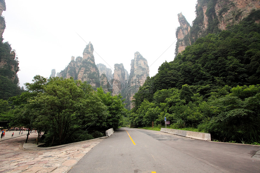中国国家森林公园     张贾吉柱子多云岩石世界公园风景公吨城市悬崖森林图片