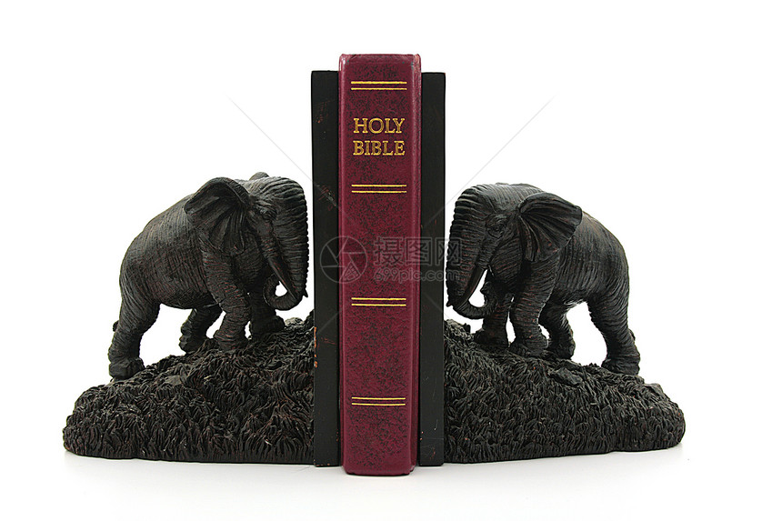 大象剂宗教生活图片