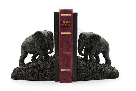 大象剂宗教生活背景图片