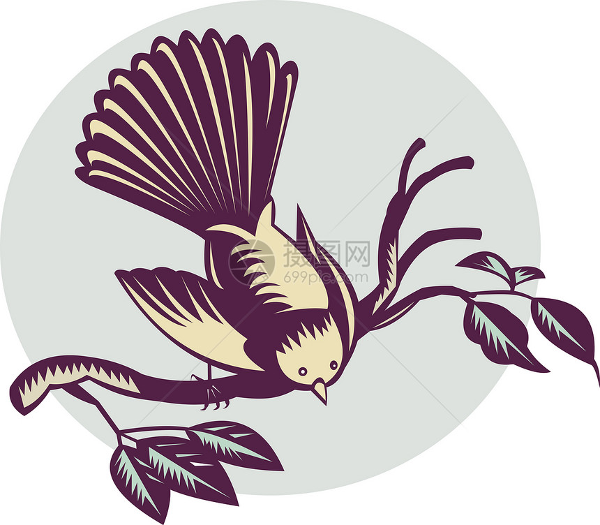 树枝上的新西兰扇尾鸟荒野动物插图扇尾野生动物全身木刻树叶栖息图片