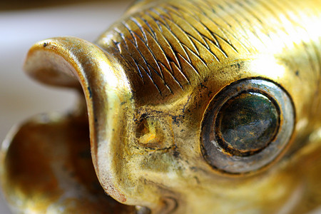 古金金鱼背景图片