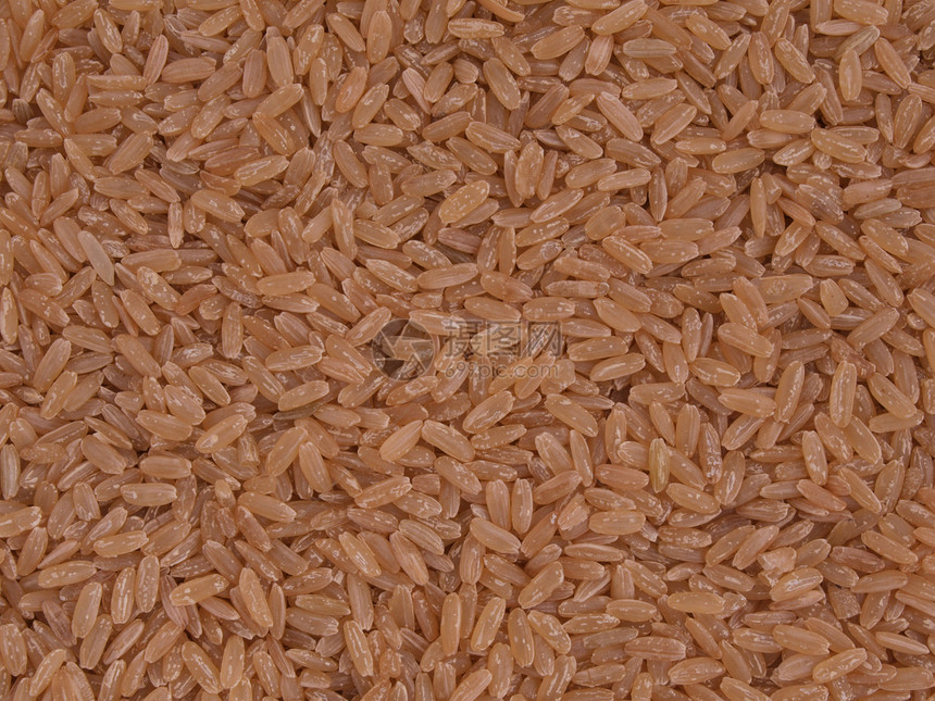 长谷棕色大米饮食素食谷物营养纤维健康食物内核种子图片