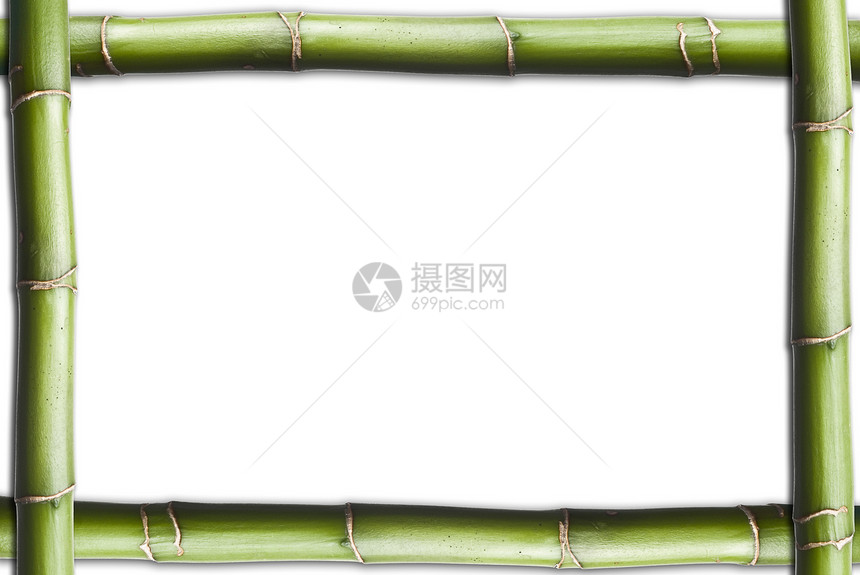竹子生长绿色热带植物群横幅情调木头异国框架植物学图片