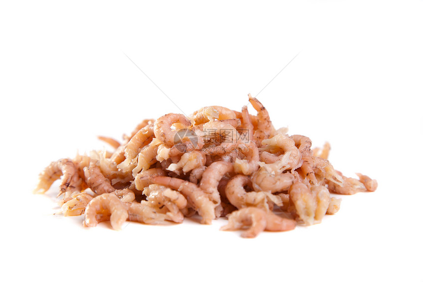 新鲜虾虾食物海鲜图片