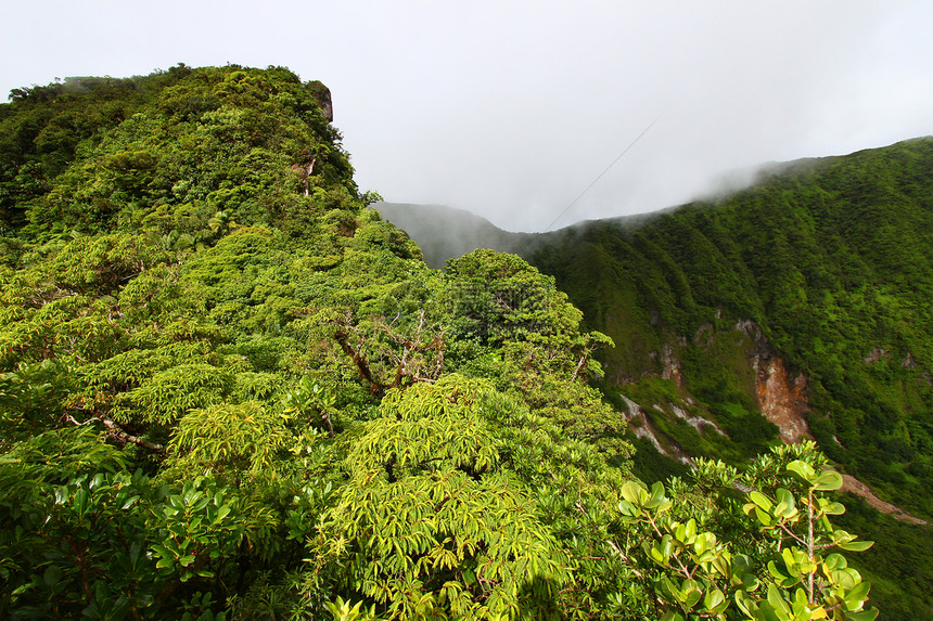 圣基茨雨林火山海拔植被背风休眠热带爬坡旅行天堂陨石图片