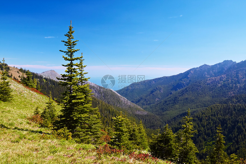 飓风脊顶峰公园高地花朵蓝色远足风景草地天空山峰图片