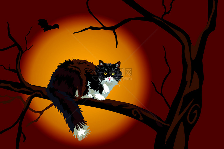 万圣节晚上黑猫死在树枝上图片