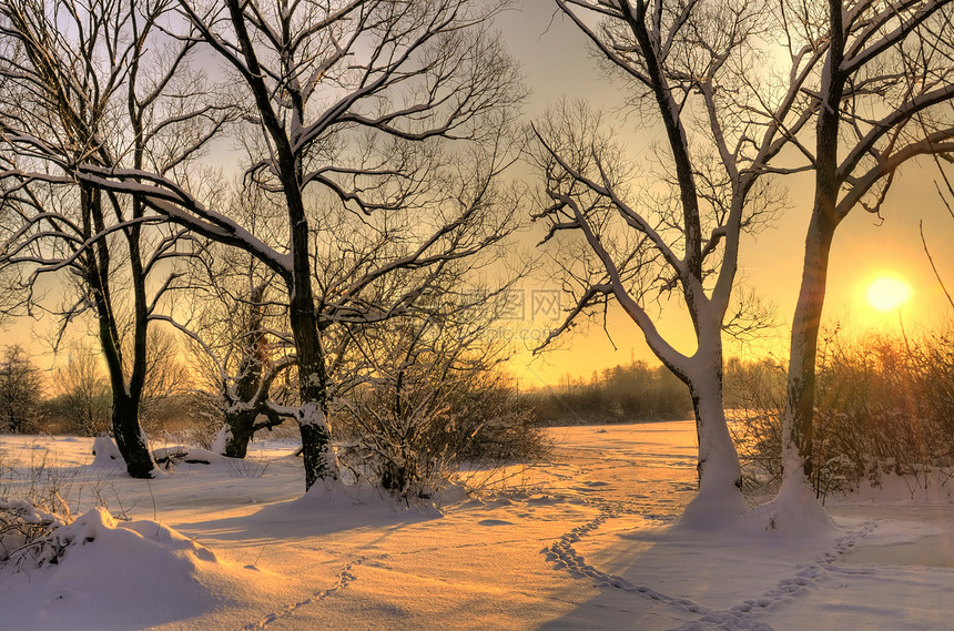 美丽的冬季日落场景农村天气太阳阳光旅行树木荒野天空橙子图片