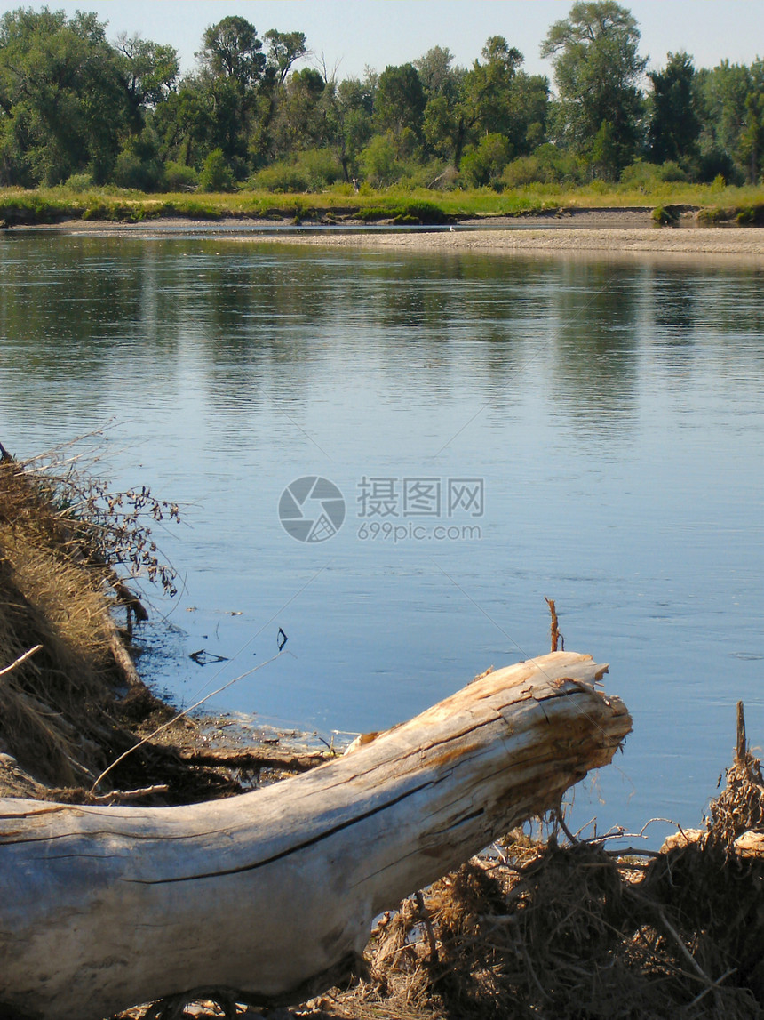 河流树和岩石分支机构河流巨石叶子树叶绿色树木天空图片