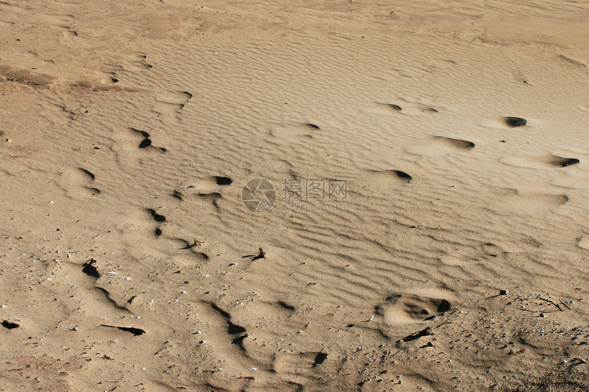 沙沙中的脚步阴影沙漠旅行干旱海岸地标线条地形晴天金子图片