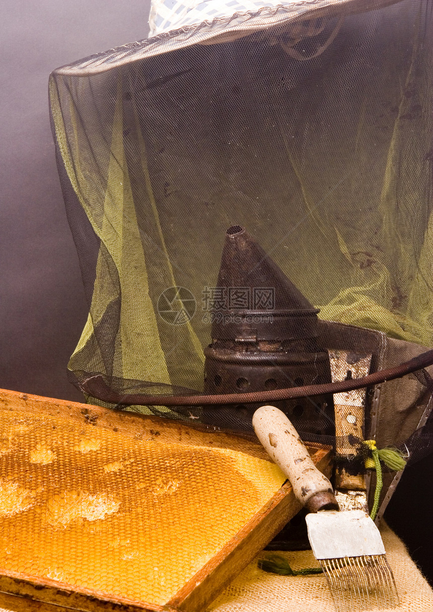 屬性蜜蜂管理器动物生活方式细胞蜜蜂效果农场食物保健养蜂人蜂窝图片