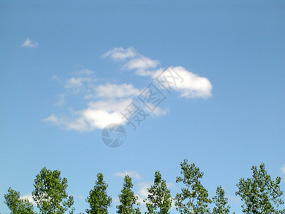 蓝天空晴天条件气氛呼吸状态国家预报空气绿色蓝天背景图片