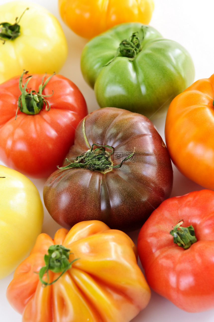 海螺西红茄食物烹饪蔬菜黄色生产红色花园宏观园艺营养图片