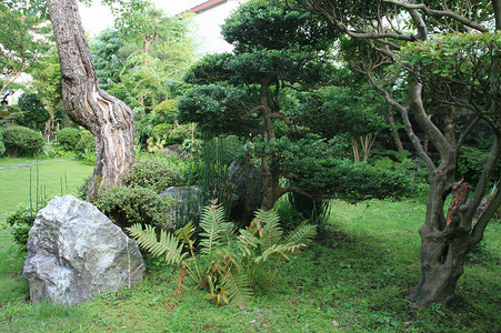 jardinzen (贾蓬)高清图片
